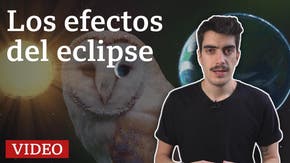 Eclipse solar total 14 de diciembre 2020: los efectos de los eclipses sobre la Tierra
